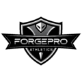forgepro full logo monocrom r0d1 01 (1)